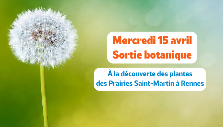 À la découverte des plantes communes des Prairies Saint-Martin